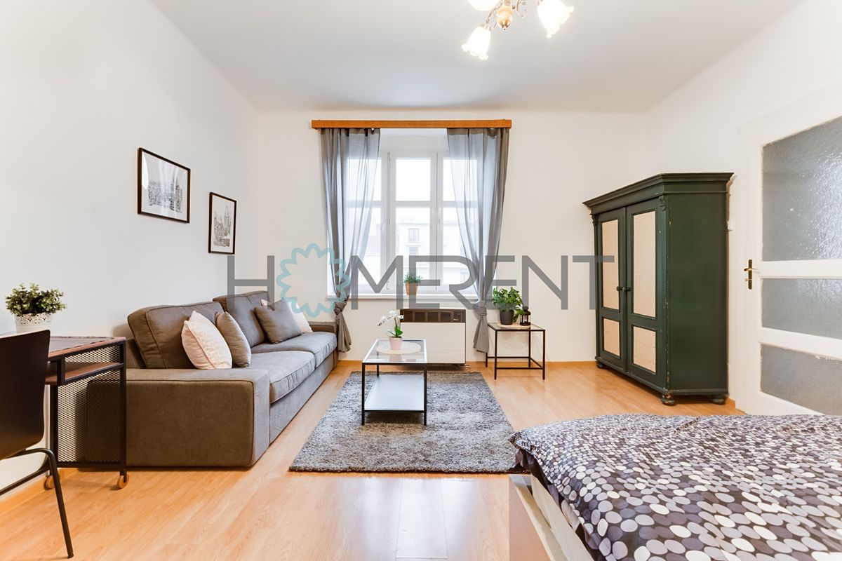 Pronájem bytu 1+1 45 m²