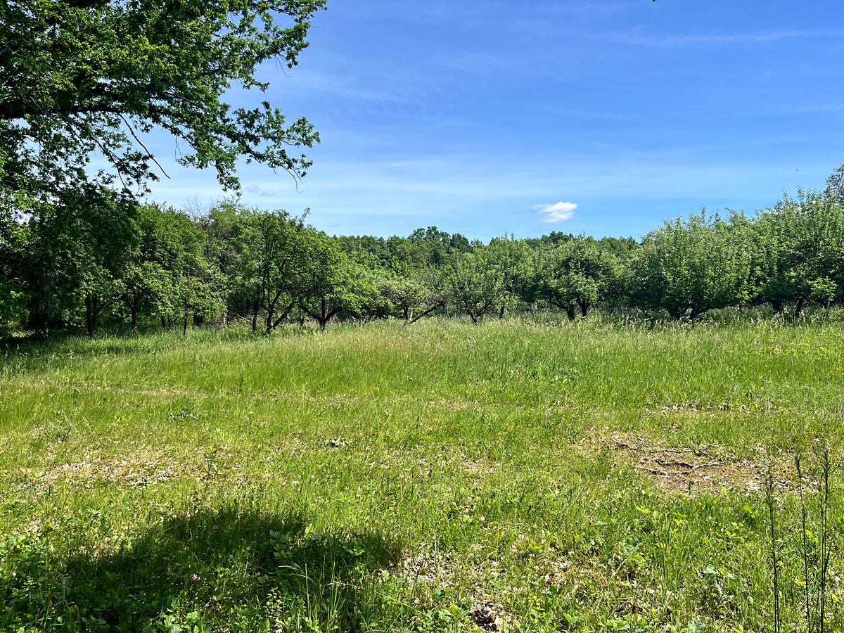 Prodej stavebního pozemku 3155 m² – fotografie 4