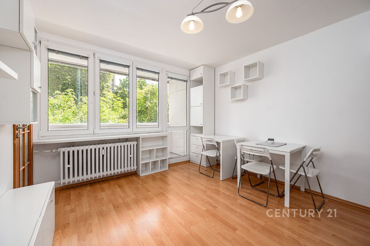 Pronájem bytu 1+1 26 m²