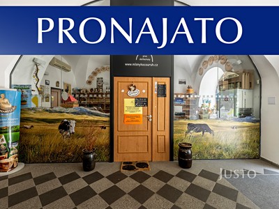 Pronájem obchodního prostoru 41 m²