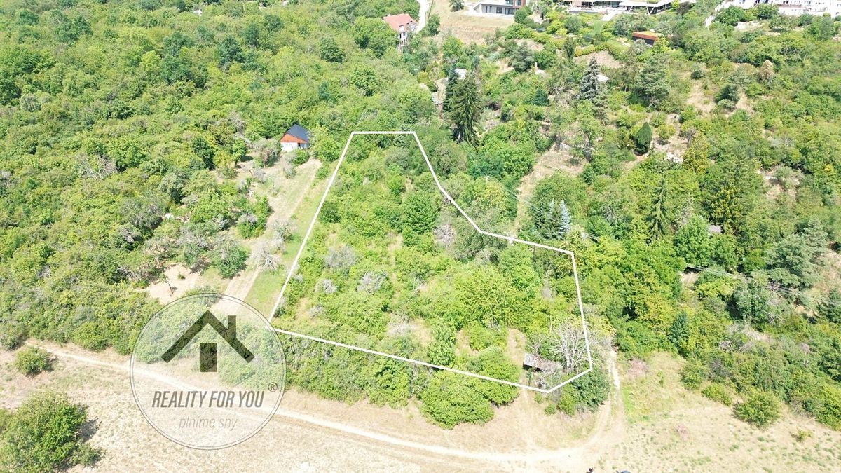 Pronájem zahrady 1000 m² – fotografie 2
