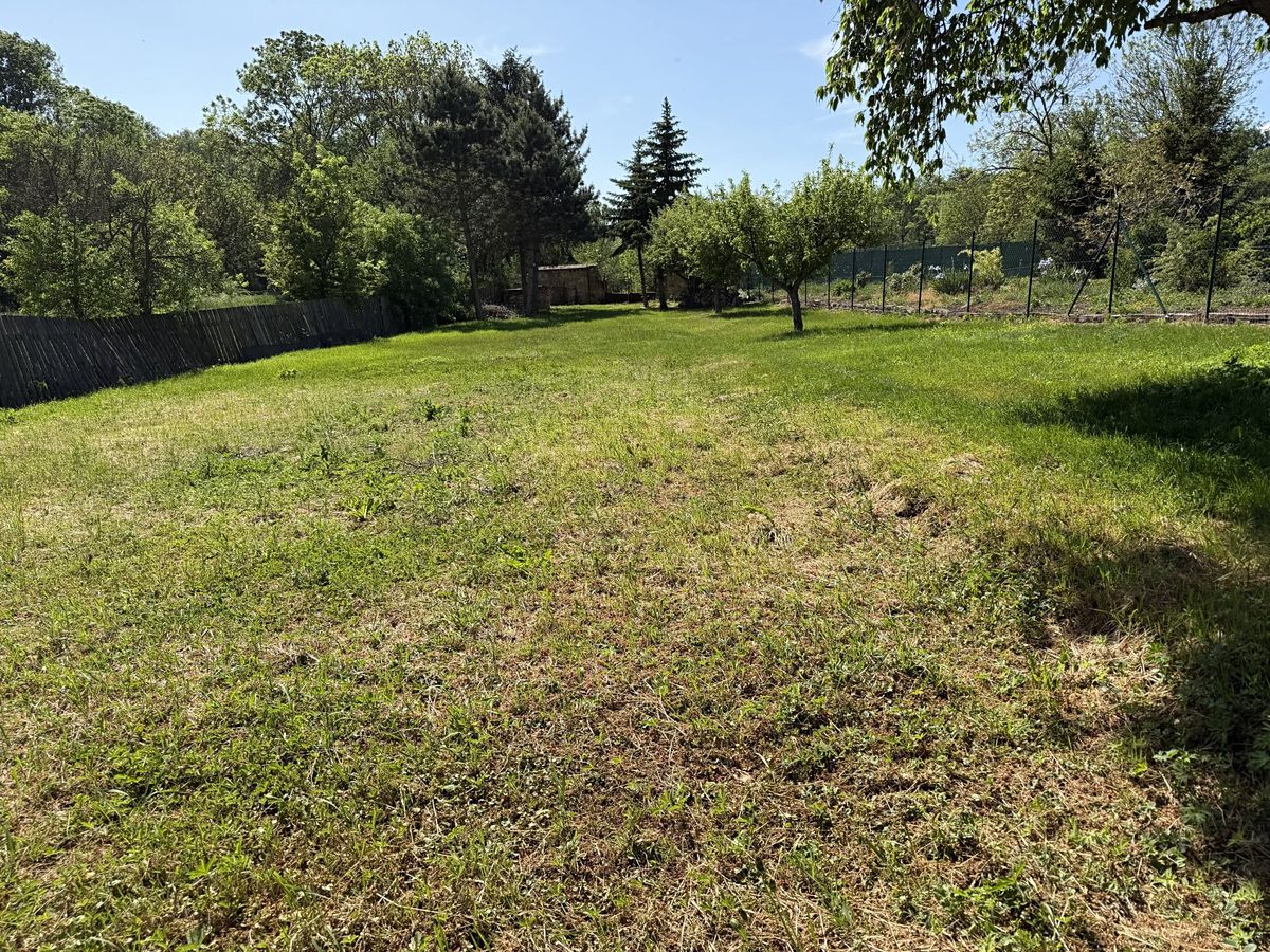 Prodej rodinného domu 160 m², pozemek 2408 m² – fotografie 4