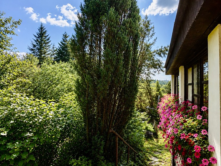 Haus zum Kauf, 50 m² (2 von 8)