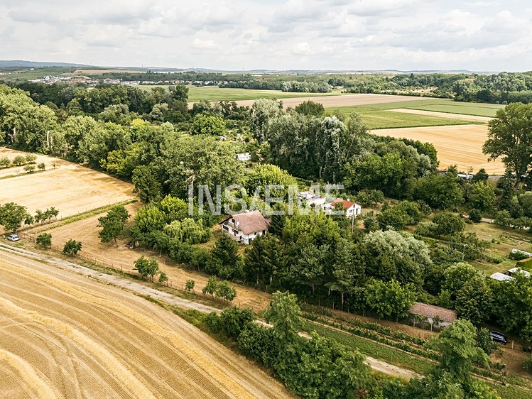 Ostatní