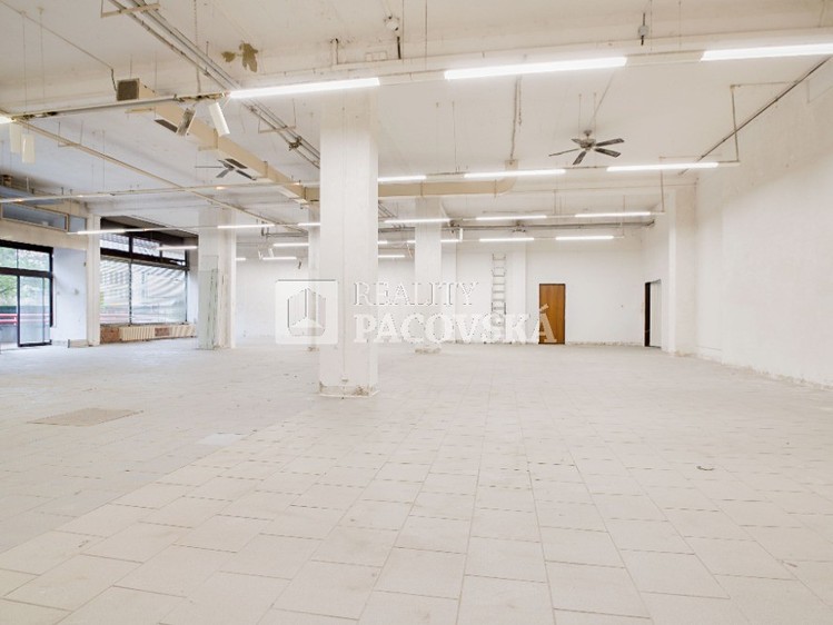 Gewerbefläche zur Miete, 423 m² (6 von 14)