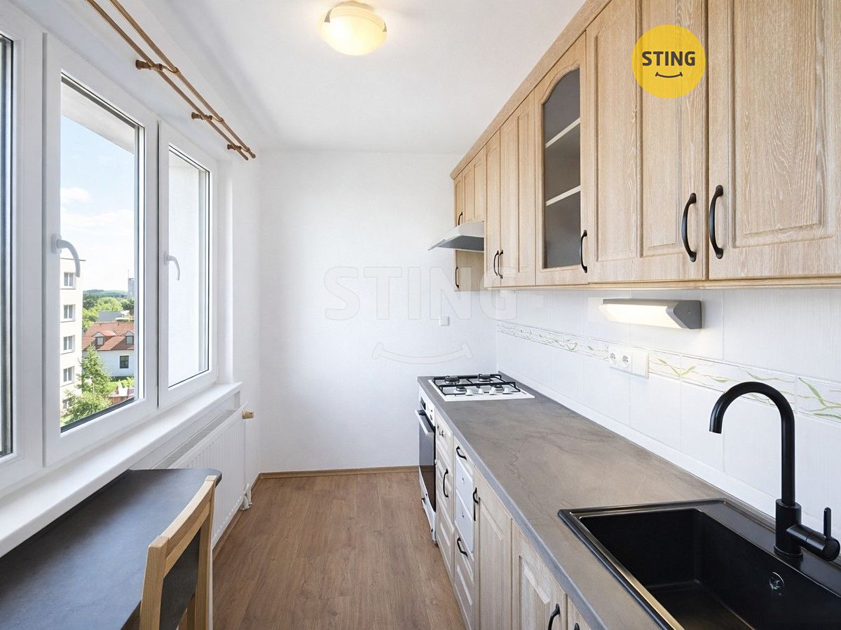 Pronájem bytu 1+1 37 m²