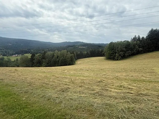 Fotka 12 z 19