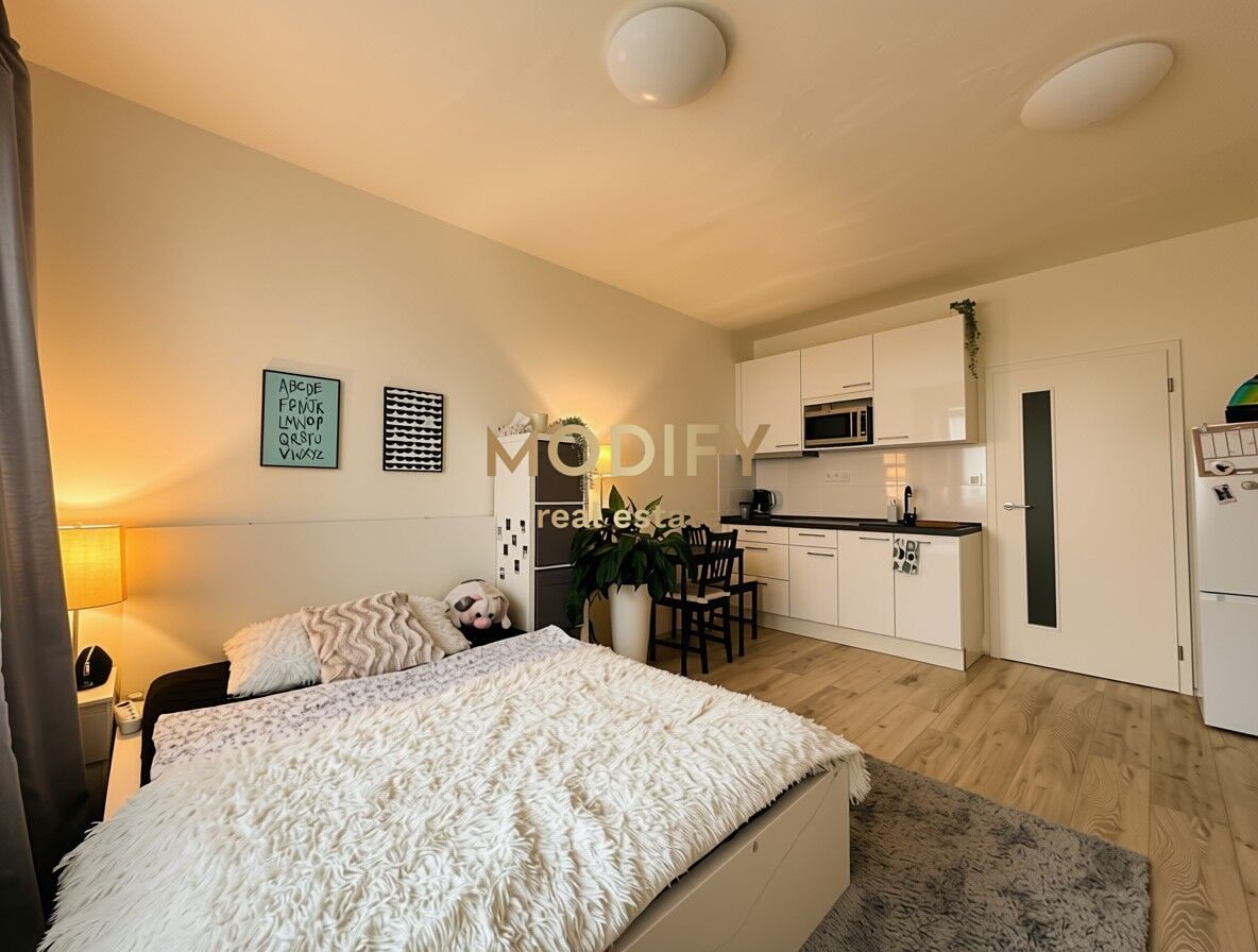 Pronájem bytu 1+kk 29 m²