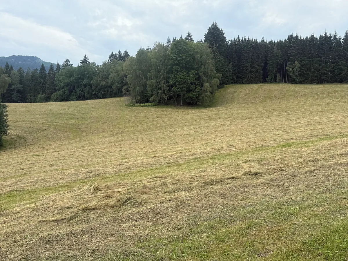 Fotka 10 z 19