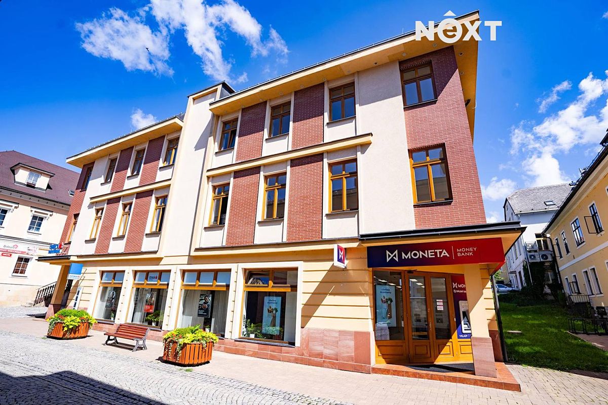 Prodej obchodního prostoru 363 m² – fotografie 2
