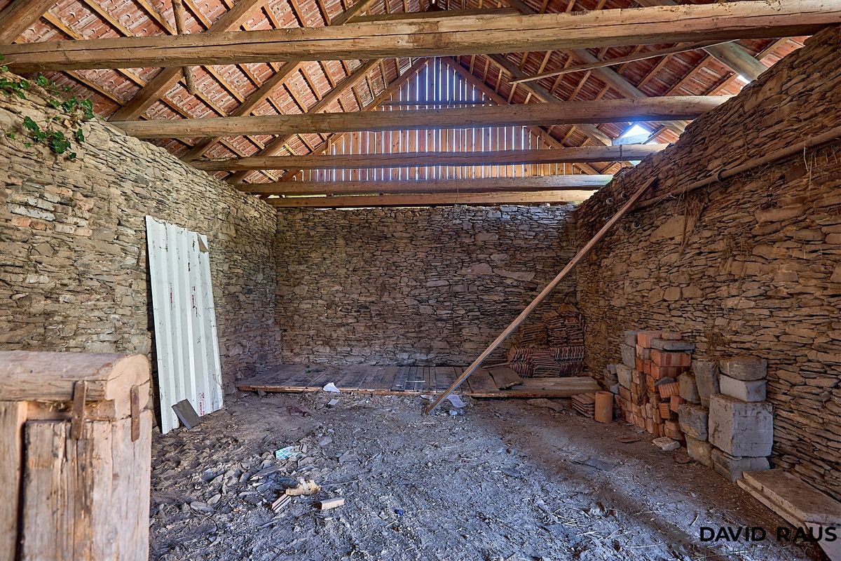 Prodej rodinného domu 353 m², pozemek 1111 m² – fotografie 5