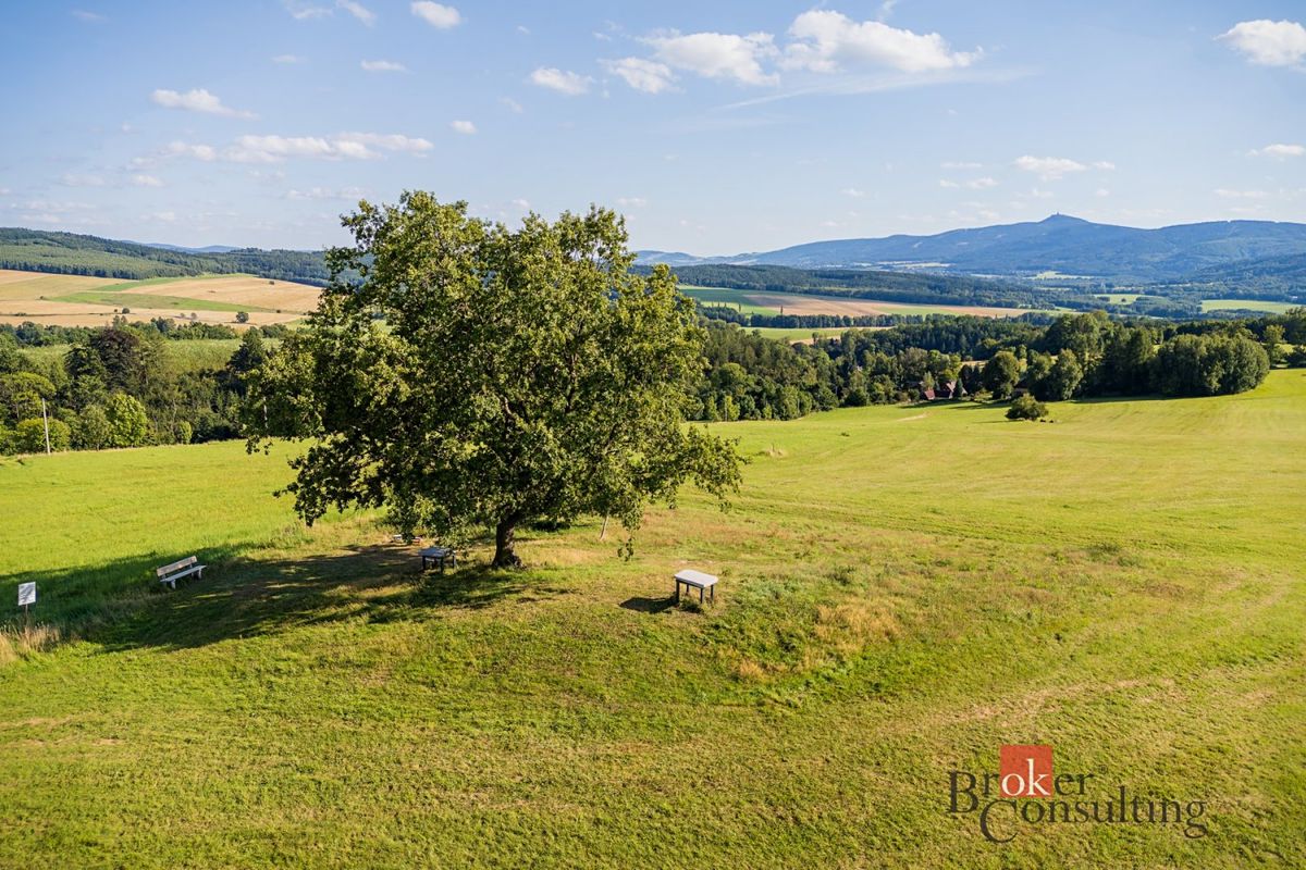 Prodej pole 11539 m²