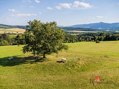 Prodej pole 11539 m²