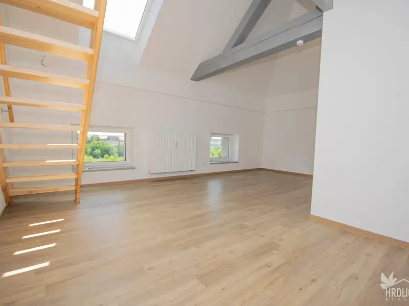 Prodej bytu 1+kk 53 m², Písek – náhled fotky 1