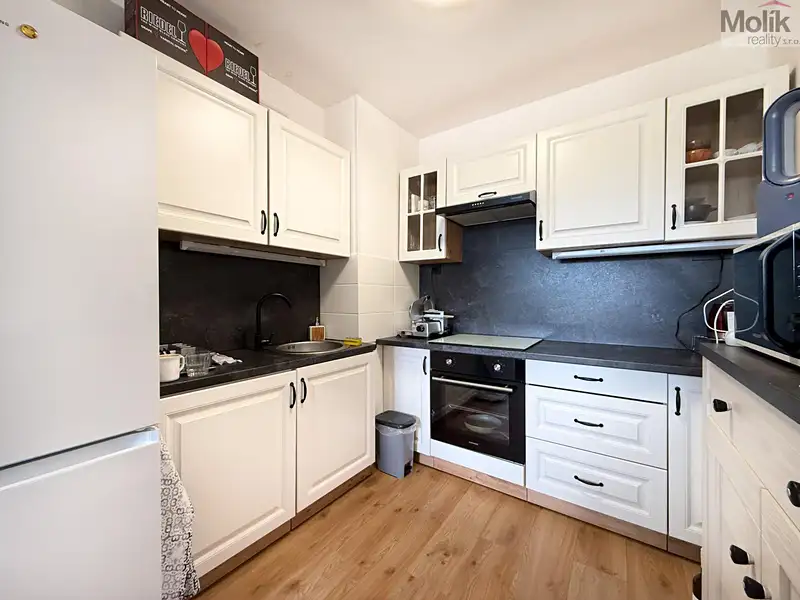Pronájem bytu 2+kk 49 m², Bílina – náhled fotky 2