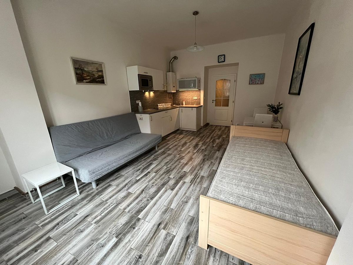 Pronájem bytu 1+kk 30 m²