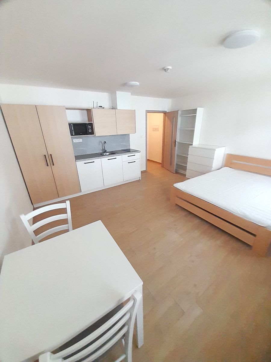 Pronájem bytu 1+kk 26 m²