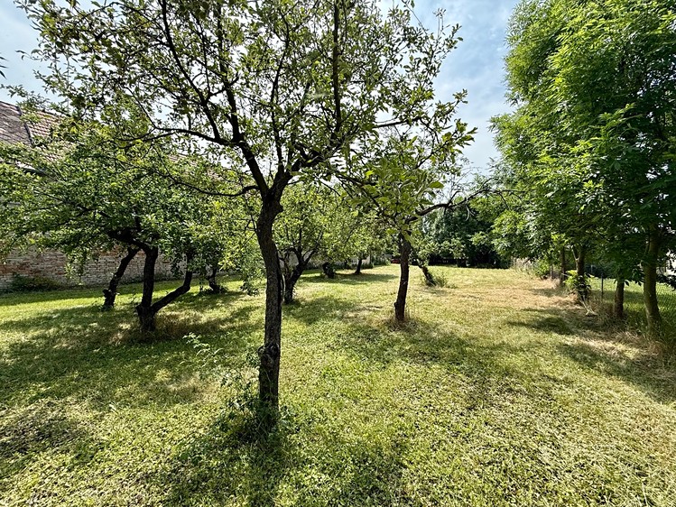 Haus zum Kauf, 600 m² (14 von 14)