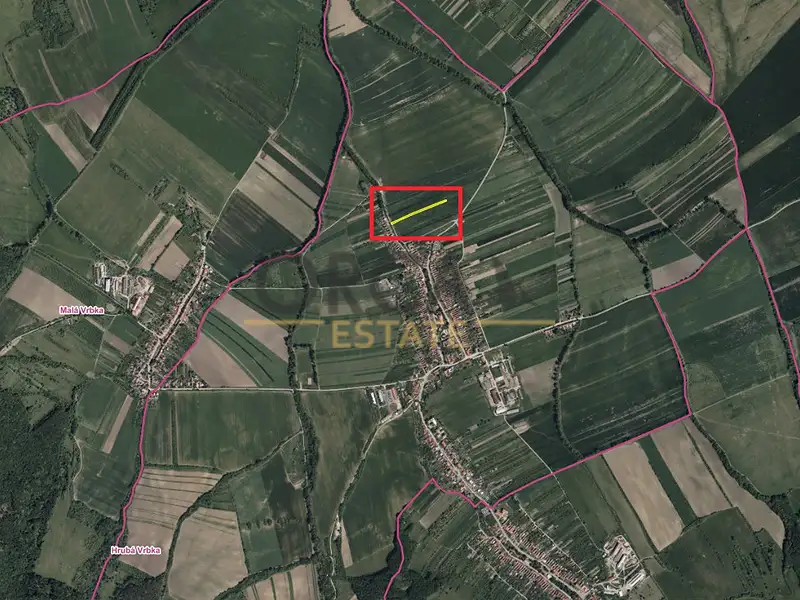 Prodej pole 2030 m², Hrubá Vrbka – náhled fotky 3