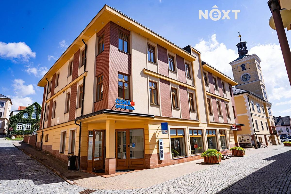 Prodej obchodního prostoru 363 m² – fotografie 4