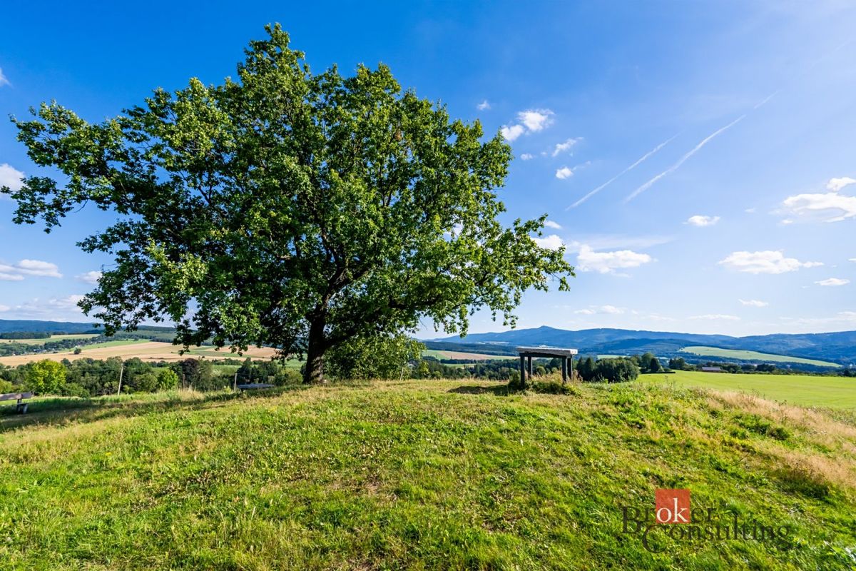 Prodej pole 11539 m² – fotografie 2