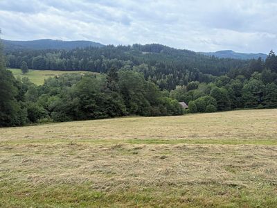 Prodej louky 84928 m²