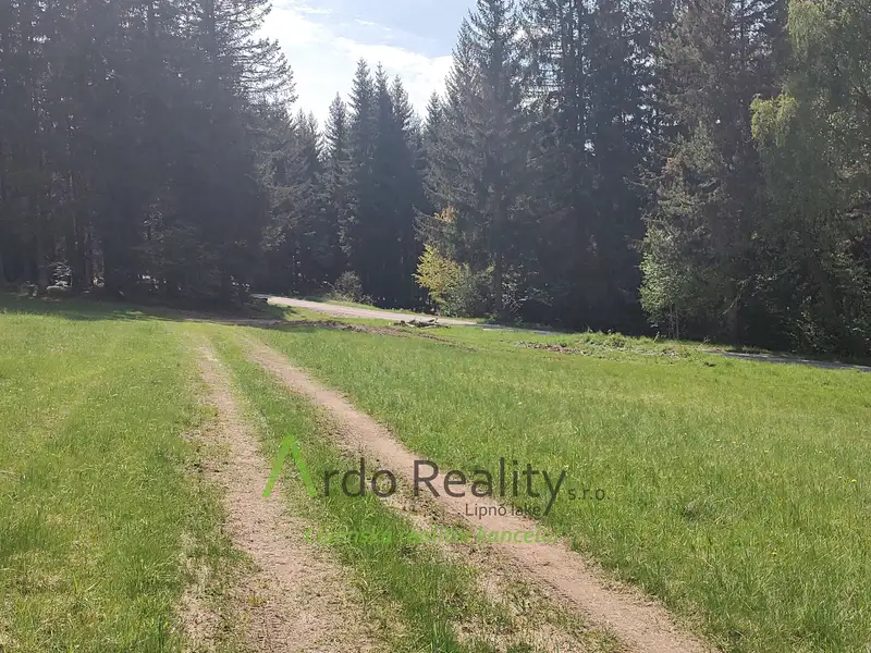Prodej louky 23943 m², Přední Výtoň – náhled fotky 2