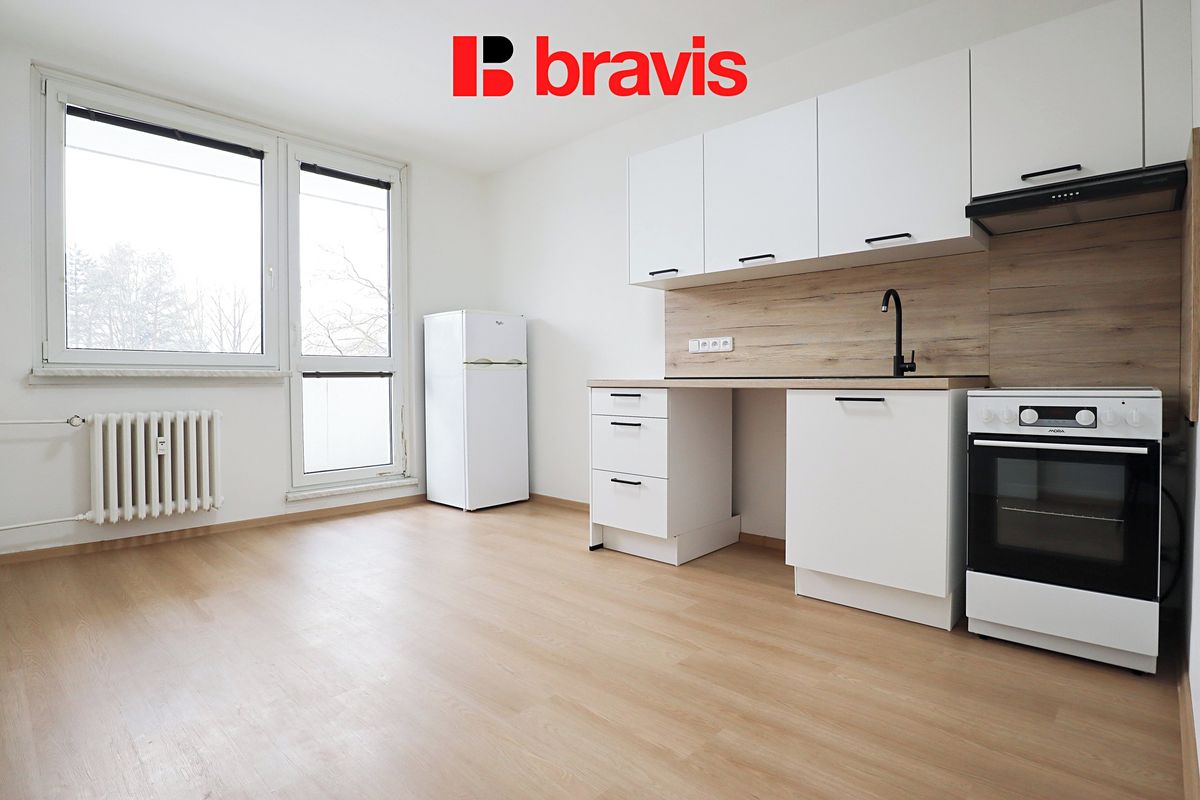 Pronájem bytu 1+1 42 m²
