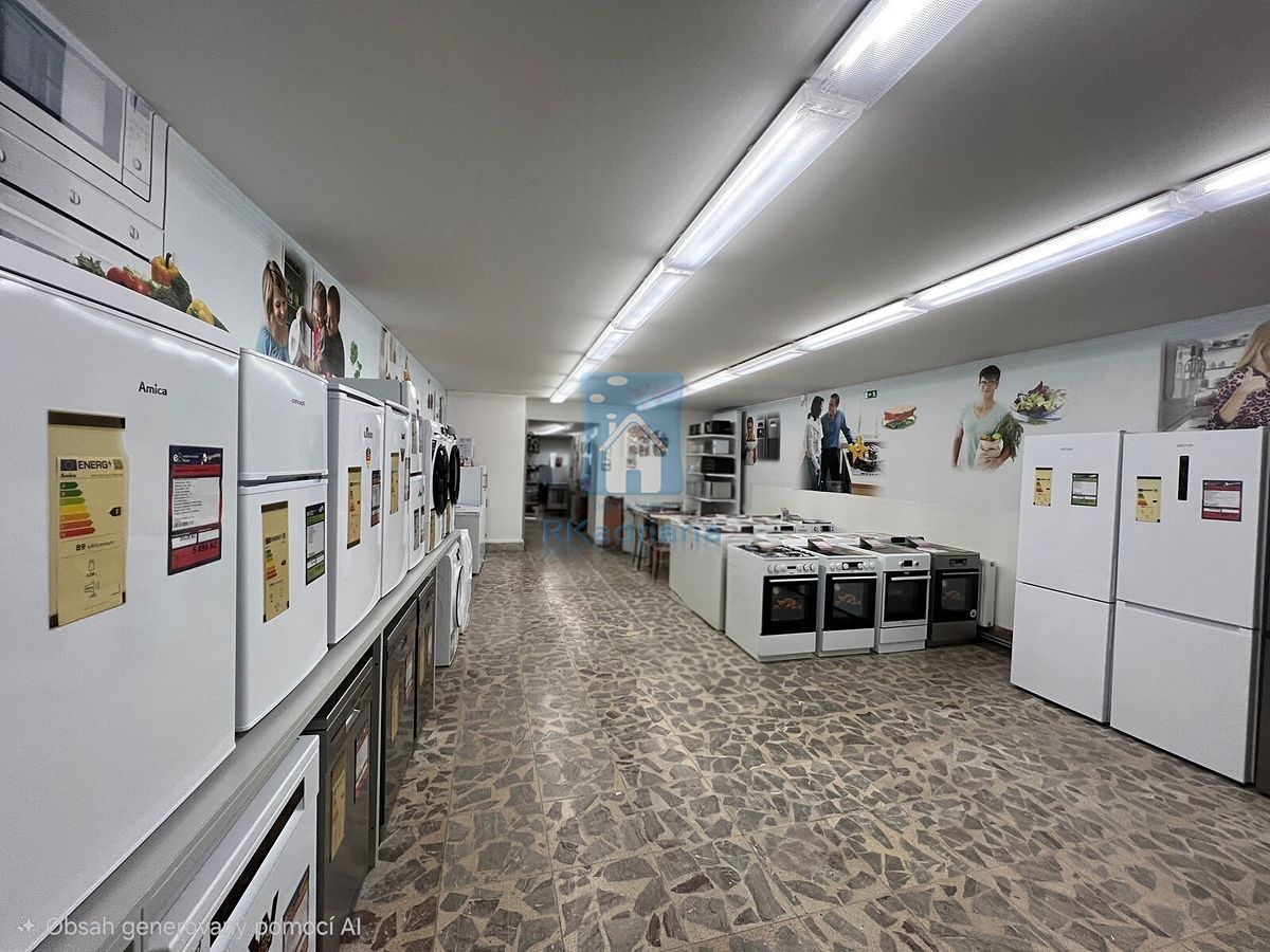 Pronájem obchodního prostoru 285 m²