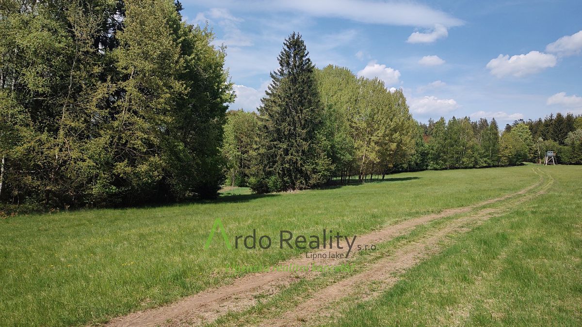 Prodej louky 23943 m², Přední Výtoň – fotka 1 z 3