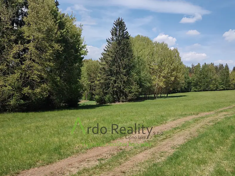 Prodej louky 23943 m², Přední Výtoň – náhled fotky 1