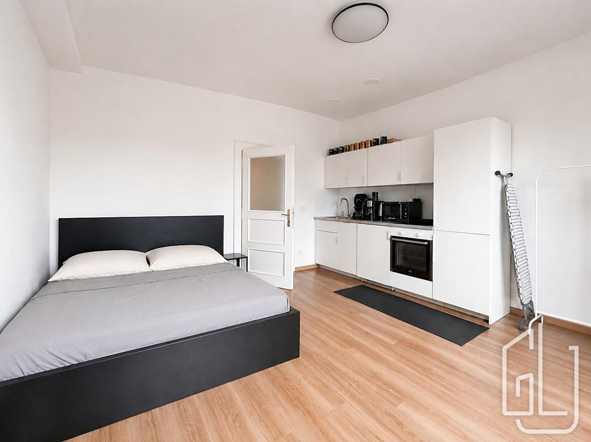 Pronájem bytu 1+kk 30 m²