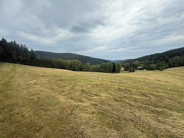 Fotka 13 z 19