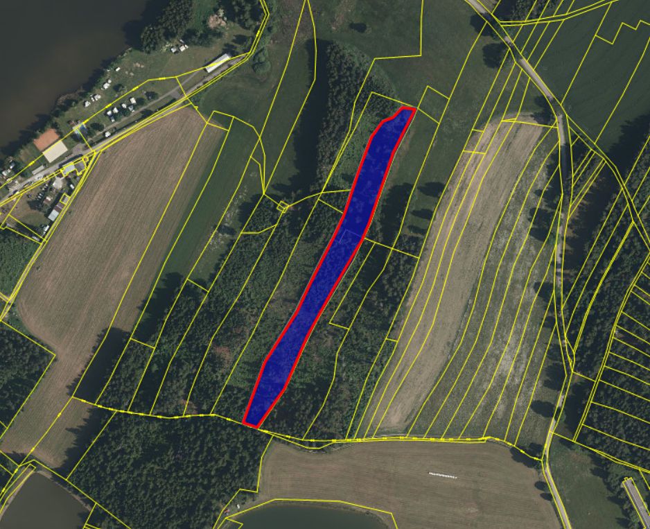 Prodej lesa 12933 m²