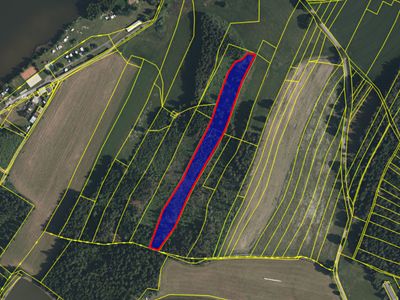 Prodej lesa 12933 m²
