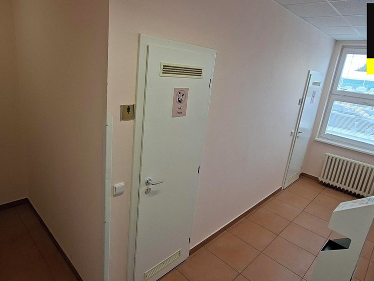 Pronájem komerčního prostoru, 140 m² (11 z 13)