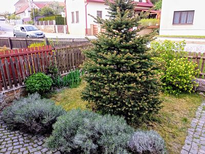 Prodej rodinného domu 64 m², pozemek 860 m²