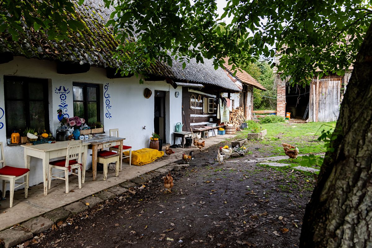 Prodej rodinného domu 60 m², pozemek 13269 m² – fotografie 3