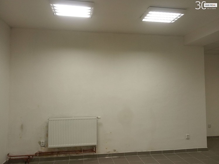 Gewerbefläche zur Miete, 43 m² (4 von 6)