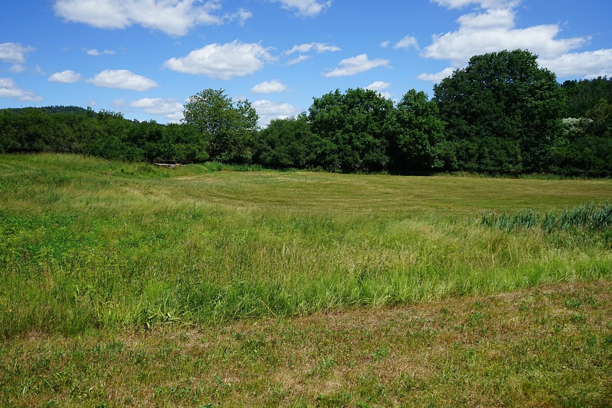 Prodej stavebního pozemku 2751 m² – fotografie 3