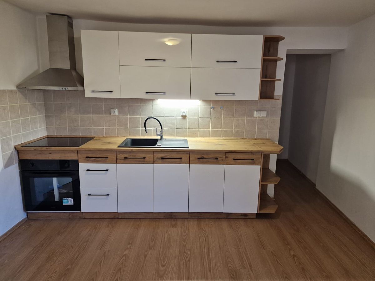 Pronájem bytu 1+1 48 m²