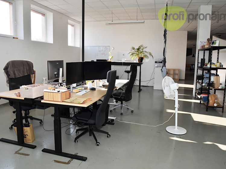 Pronájem komerčního prostoru, 701 m² (10 z 18)