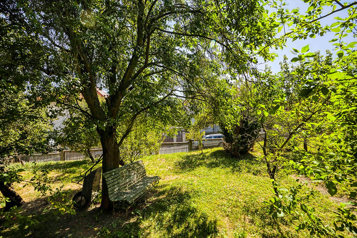 Prodej vily 480 m², pozemek 784 m² – fotografie 3
