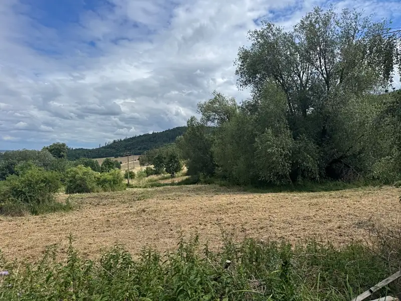 Prodej pozemku 7724 m², Město Albrechtice – náhled fotky 3