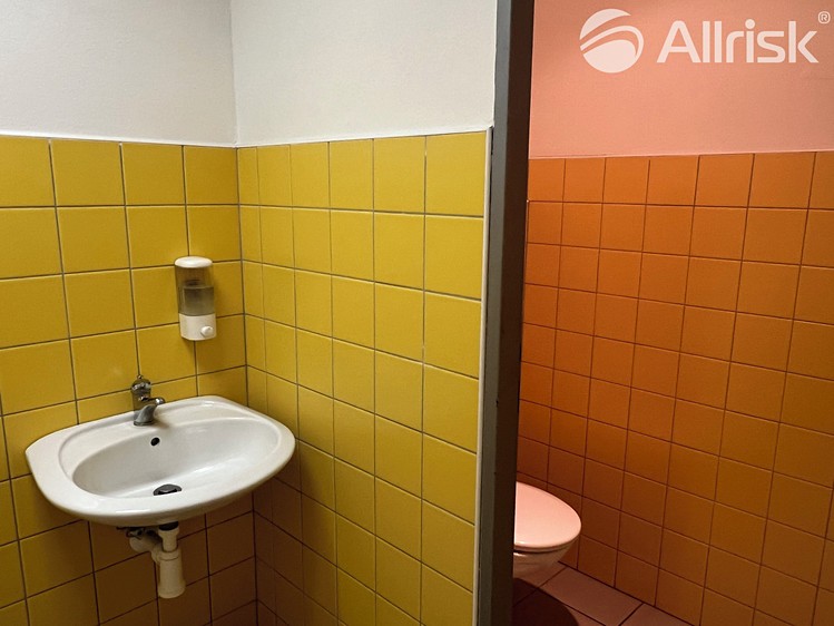 Pronájem komerčního prostoru, 20 m² (9 z 9)