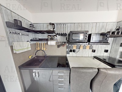 Pronájem bytu 1+kk 18 m²