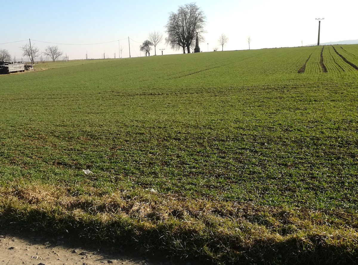 Prodej stavebního pozemku 4474 m² – fotografie 2