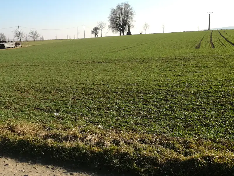 Prodej stavebního pozemku 4474 m², Zlobice – náhled fotky 2