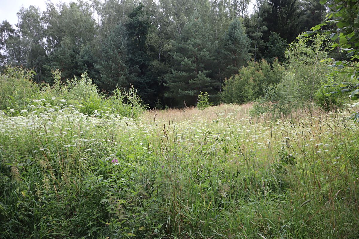 Prodej stavebního pozemku 36716 m² – fotografie 3
