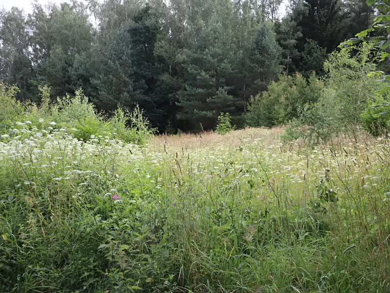 Prodej stavebního pozemku 36716 m², Dlouhý Most – náhled fotky 3